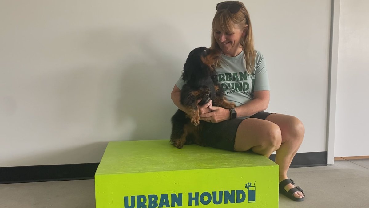 New dog bar to open in Lincoln soon.